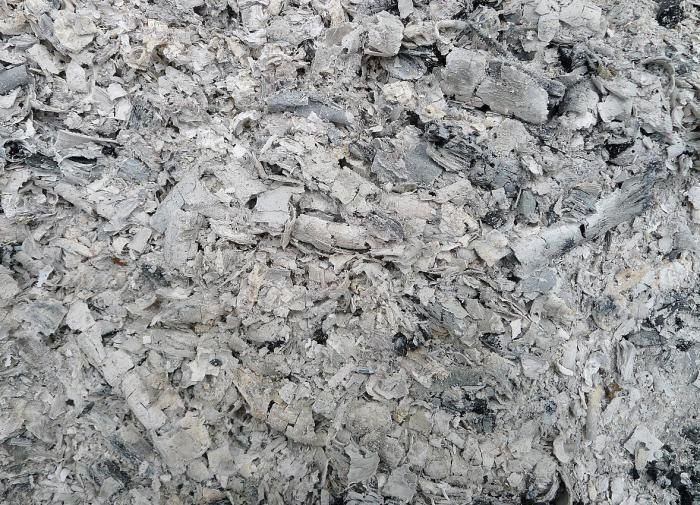 ������ �����������: ����� �������� �� ��������� ����?