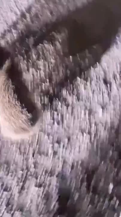 ������� ����� �� ���������