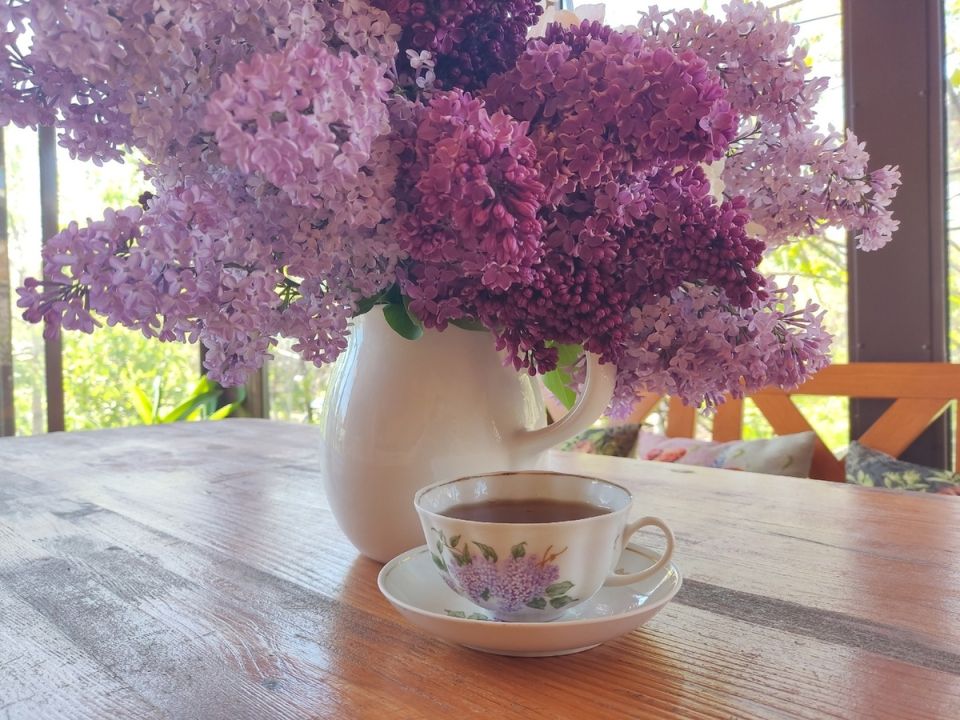 ������ � �������� � ������ ���������: ���������� ��������� ���������