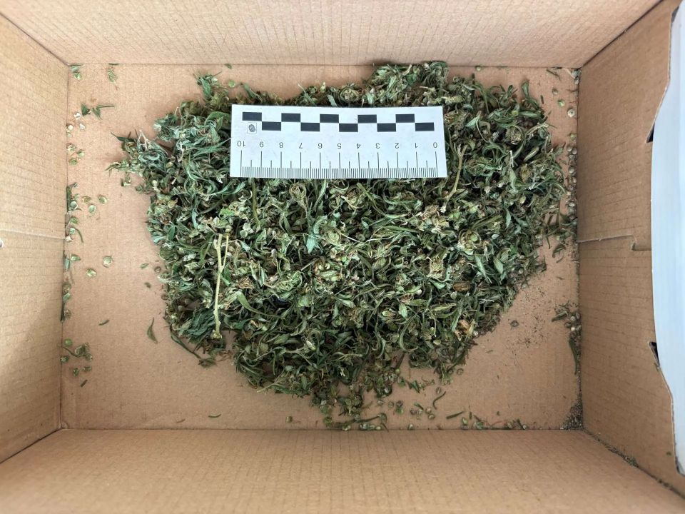 ���������� ���������� ������� ��������� ������ ������� �� ������� �������������� � ������ ����������-����������������� ����������� ������� ���������-2026� ������� 49-������� ������ ������������� ������, ����������� �...