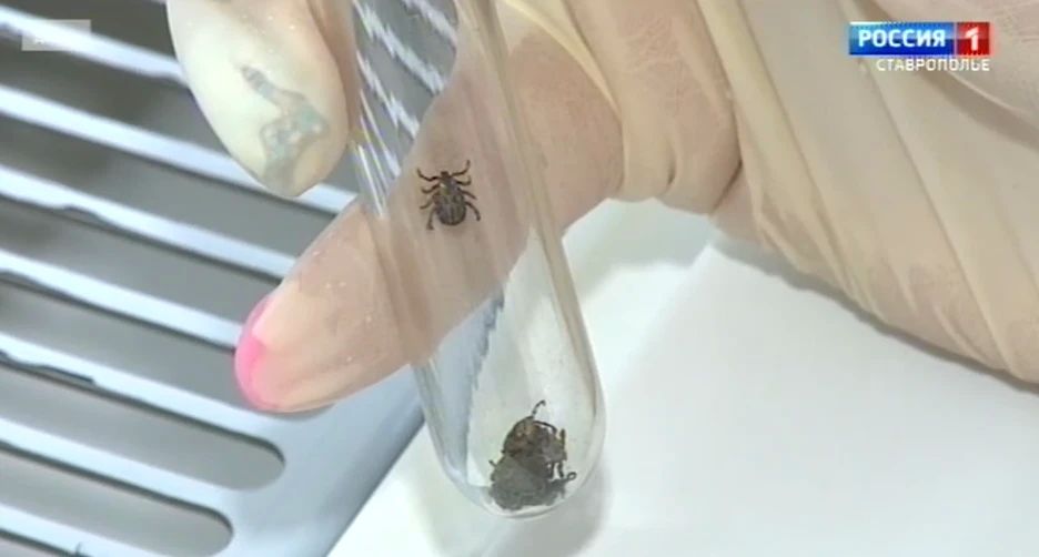 ������ ����������� �������� ����������� ������������ �� �����������