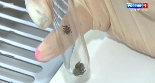 ������ ����������� �������� ����������� ������������ �� �����������