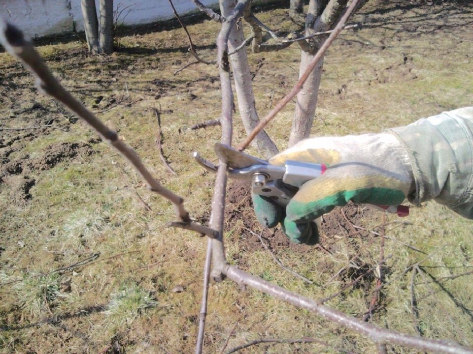 ��� ��������� �������� ������ ������ ������: ������ �����