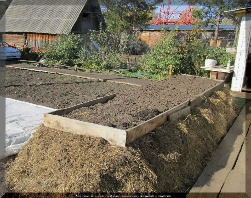 ����� ������ ������ ��� �������: ��� ������������� ������