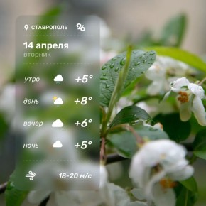 Погода в Ставрополе 14 апреля
