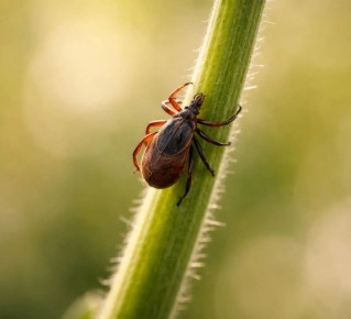 ����� 6 ����� ������� ��� ���������� � ������ ��-�� ������ ������.