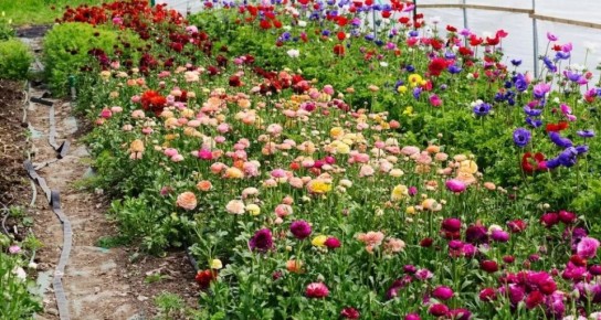 ��� ������� ������������� ������������ ��� ����: ������ � ���������� ����