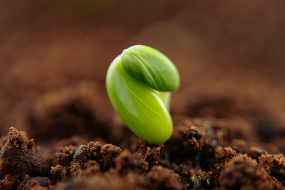 ��� ���������� ������: �������� ������ �� ����� 2025