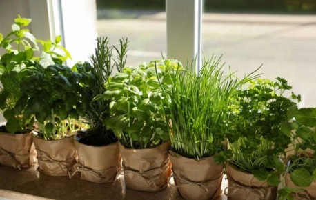 ������ ������� �����: ��� ������� �� ����������� � �������� ����� ����