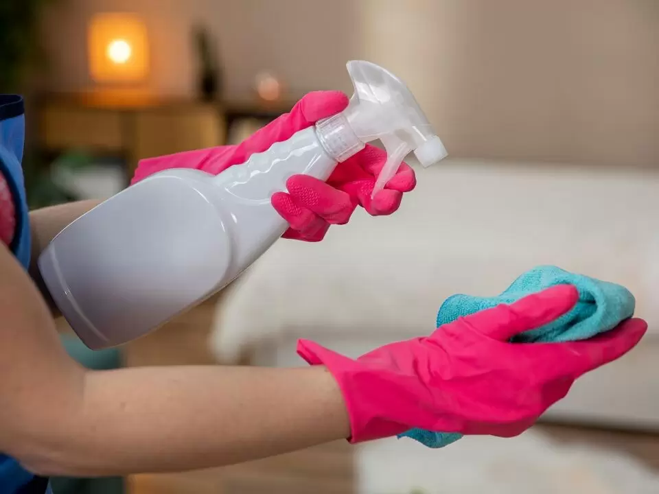 Как избежать плесени в квартире: советы эксперта по ремонту