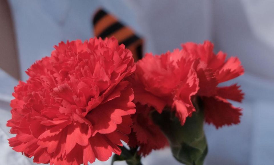 �� ����������� ������ ������������� ������� � ������ � ������� ��������