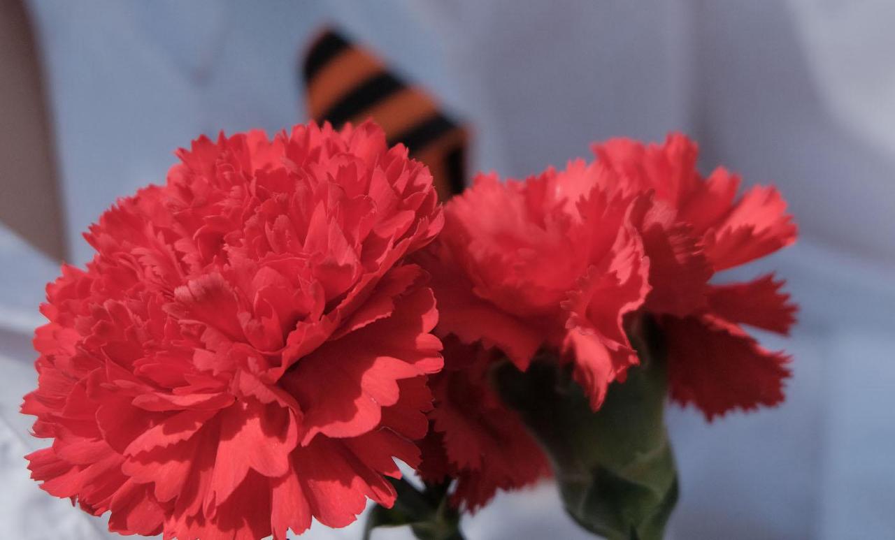 На Ставрополье пройдёт всероссийский марафон в память о жертвах геноцида