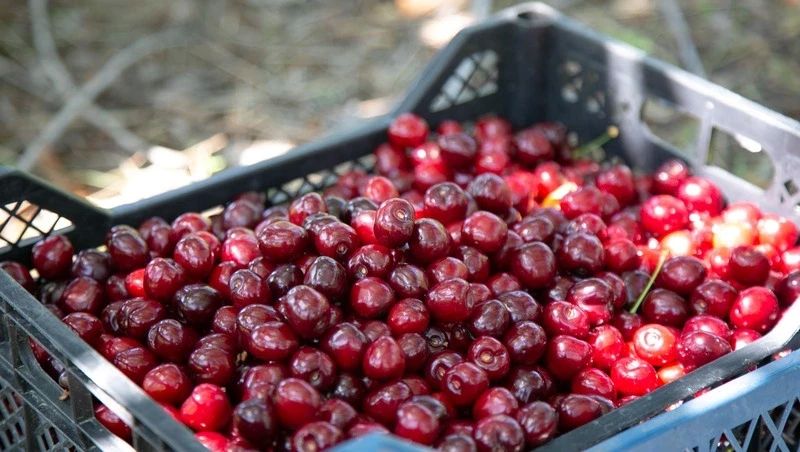 ������� � ����� ����� �������� � ����� ��� �� �����, ������ � �������������� � ����� �����������