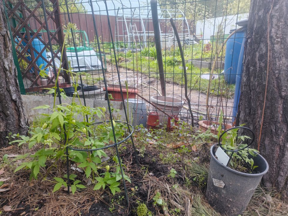 ������ ���� ��������� �� ������? ������� ������� �������!