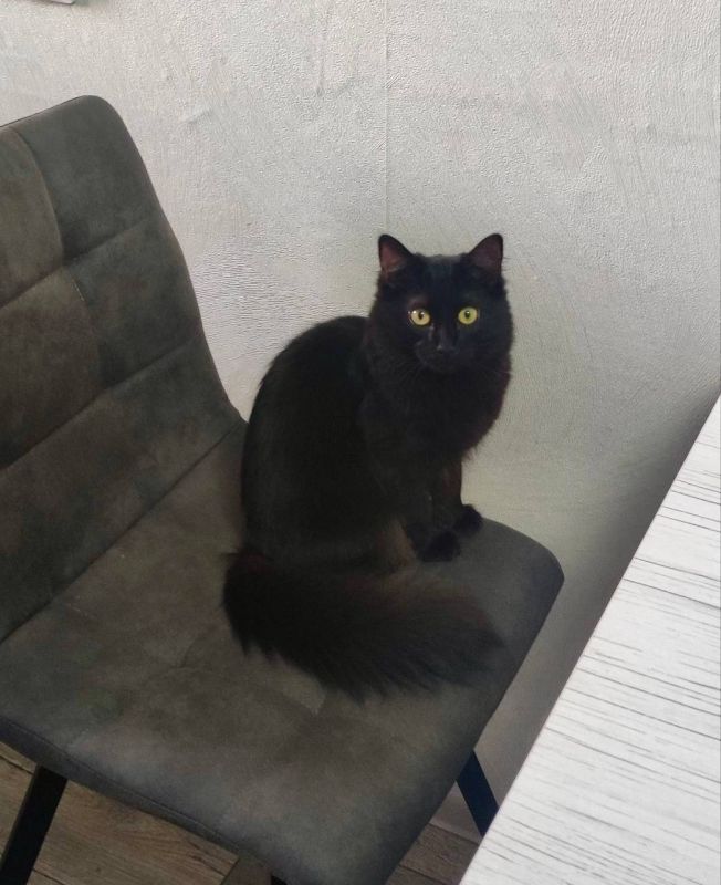 ���-���! � ��� ����������� ���� ����� � �������� ���������� ����!