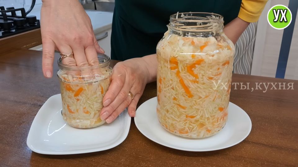 ����� � �������� �����������