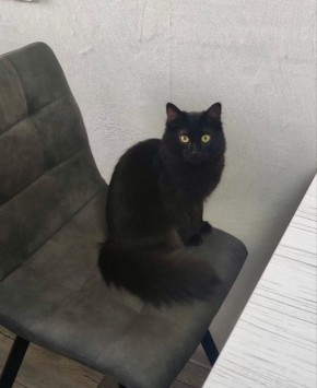 ���-���! � ��� ����������� ���� ����� � �������� ���������� ����!