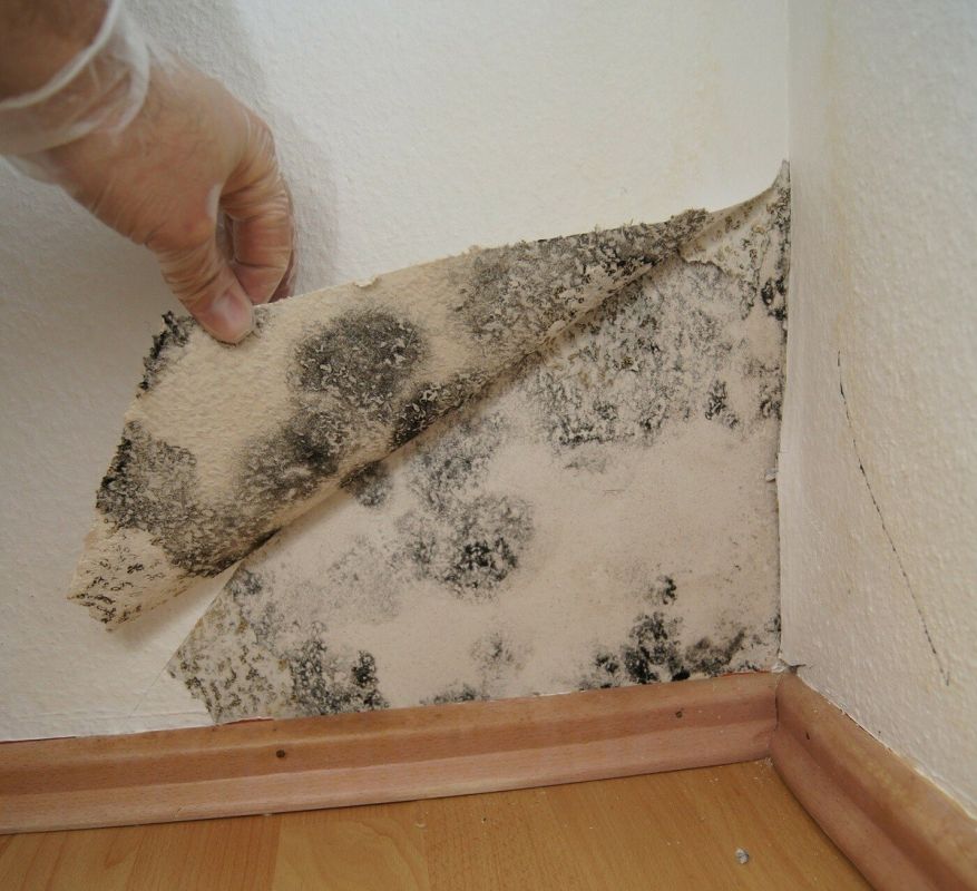 ������� ����� ����������: ��� ������� �� �����?