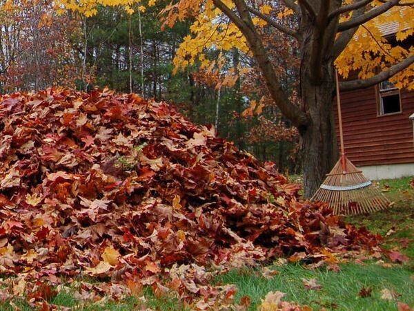 ����� ������� ������� ������? ������� ���������� � ��������� �������������