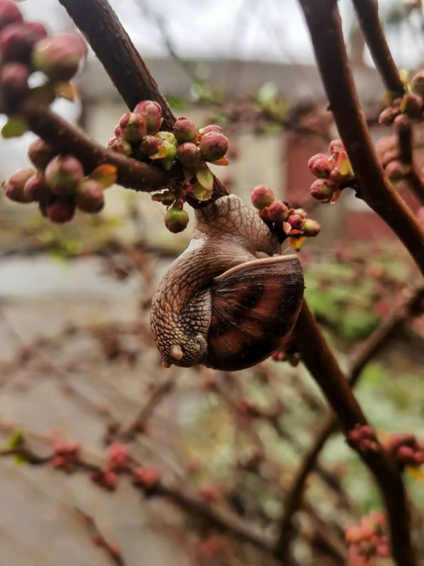 �������� ������, � �� ������