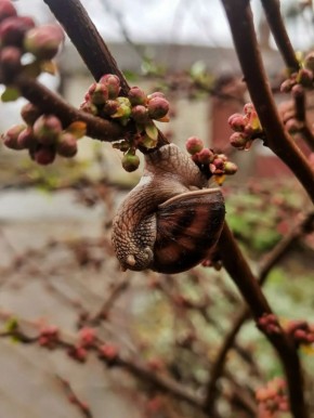 �������� ������, � �� ������