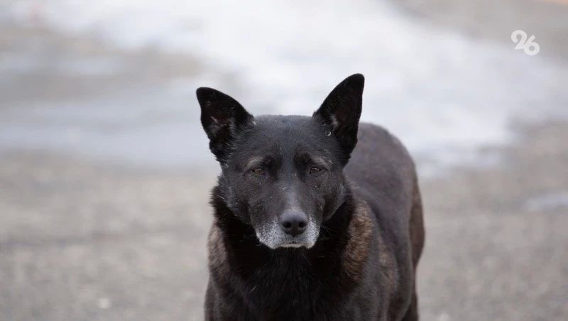 ��������� ������ ������ �� ������ � �������������