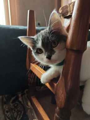 �������� ����� ������ � ������ �����������: �� �������� �������� ������ �������