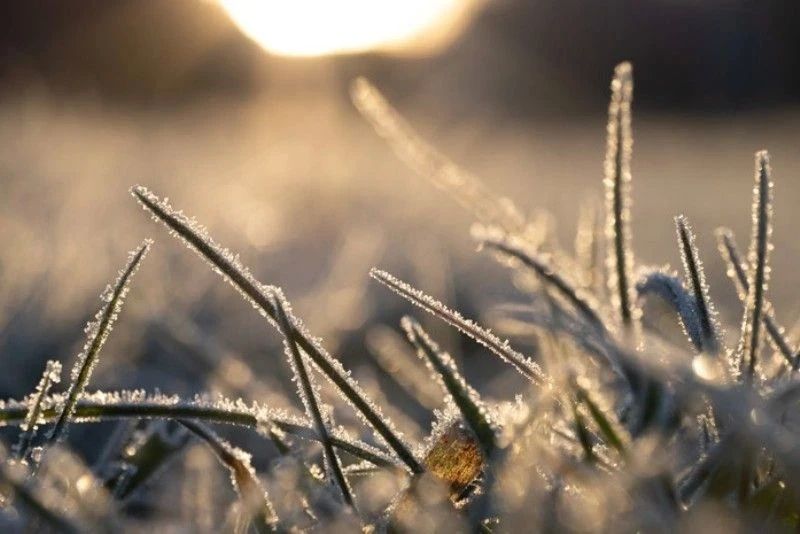 ������ � �������� ��������� ����� ������������ ������������ �������������