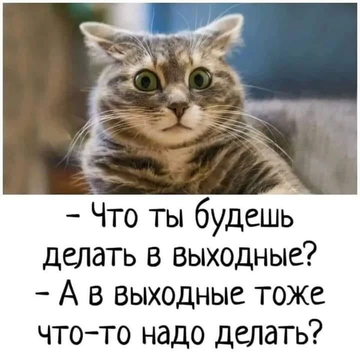 ��������� ���� ������ ���������� �������