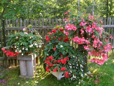 ������� �������� ��� �������: ����� ����� ��������� � ��������?