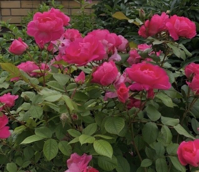 ��� ��������� ������ ����: ������ �� ���������� ����� ��������� � ��������