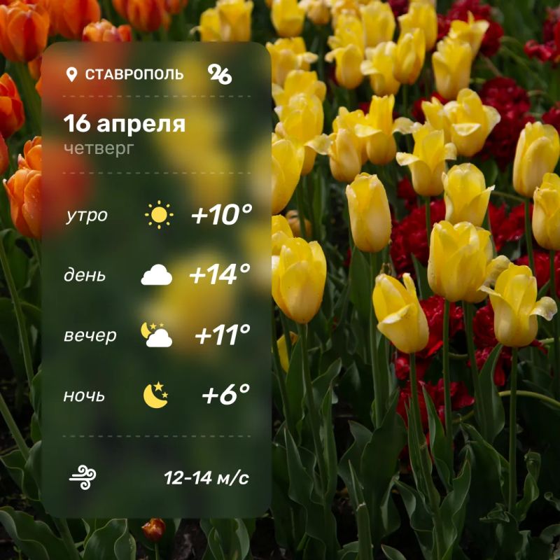 ������ � ���������� 16 ������