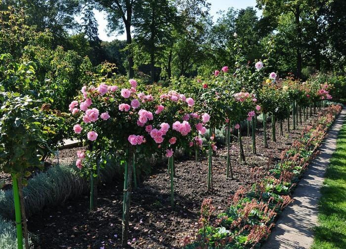 ������� ������ � �����: ��� ����������� �������� � ����