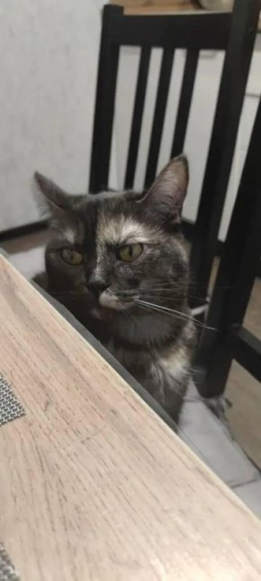 � ���������� ������� ���� ��������� ����� ����