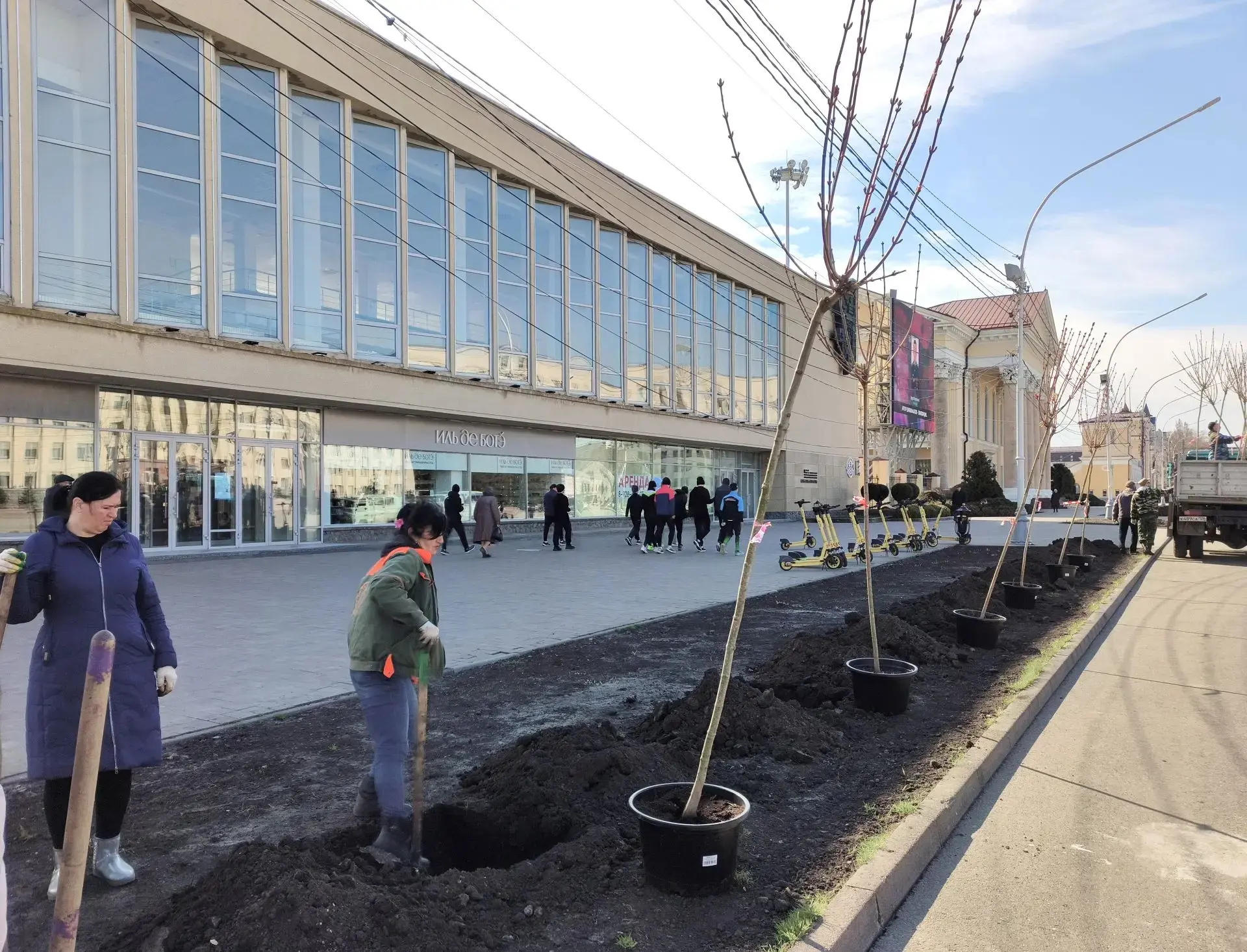 В Ставрополе стартовали весенние высадки деревьев: сегодня на аллее вдоль площади Ленина высаживают 27 взрослых остролистных кленов В Ставрополе стартовали весенние высадки деревьев: сегодня на аллее вдоль площади Ленина высаживают 27 взрослых остролистных кленов