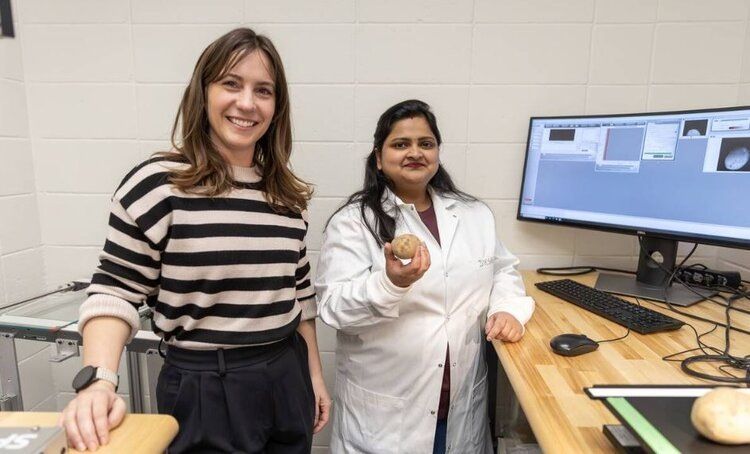 ������ � ���������: ������ ����� ������ ������ ��������� ����������� ���������