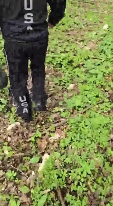 ��������������� ������� �� �������� ������: ����������� �������� �� ����� ���������� ����������