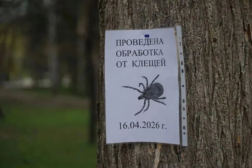 ����������� ��������� ���������� � ����������