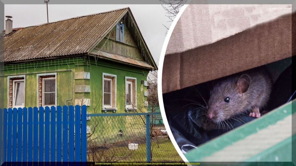 ��� ���������� �� ��������: ����������� ������ � �������