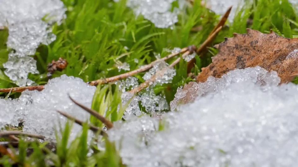 ��������� ��������� �� ����������� � 18 ������