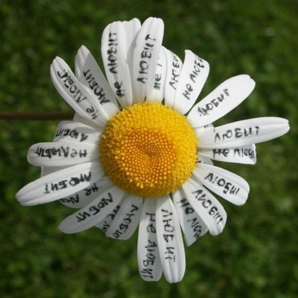 ������� ����: ������ �������� ����� ���������� �����