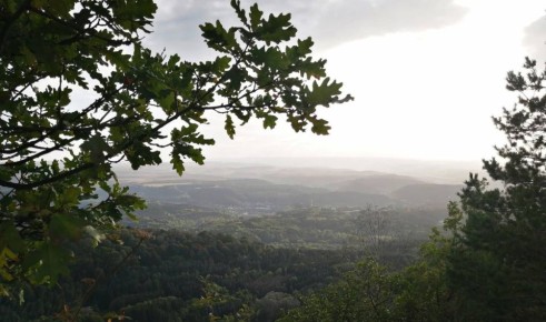 ���������� ���������� ���������� � ����� � ����������� �������� ������