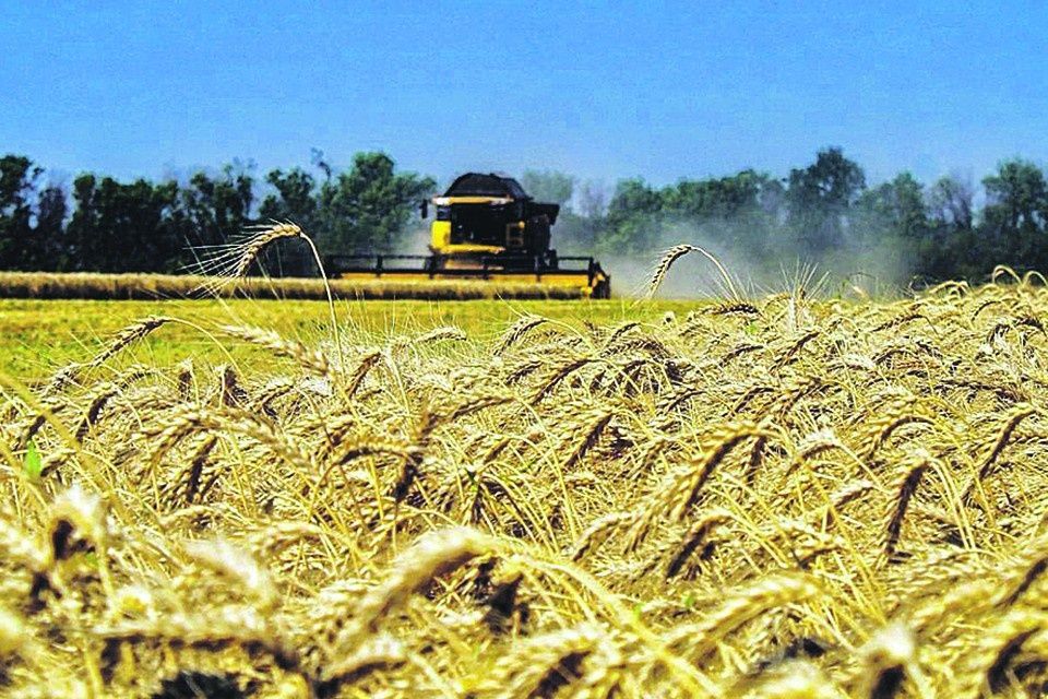 ������ �������� � 2025 ����: ������ � ����� ���������