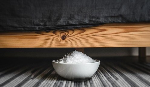 ���� ��� ��������: ��� ���������� �� �������� � �������� �������� ���