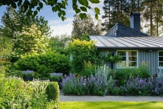 ������ ����������: ��� ����� ���������� � �������� ������