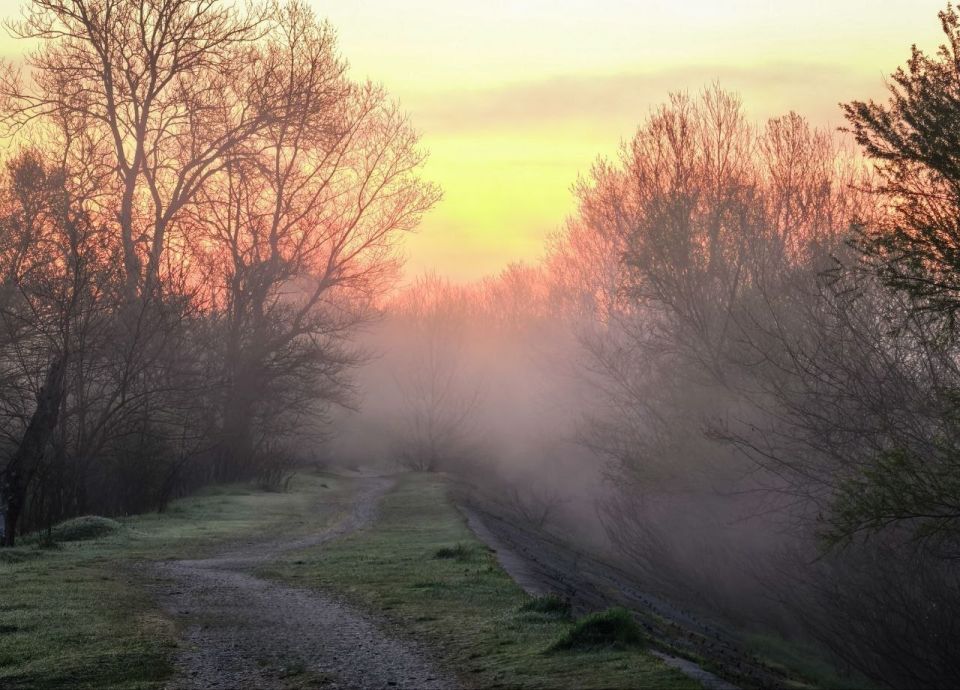 �� �������� ���� �������� ����� ���� � �����