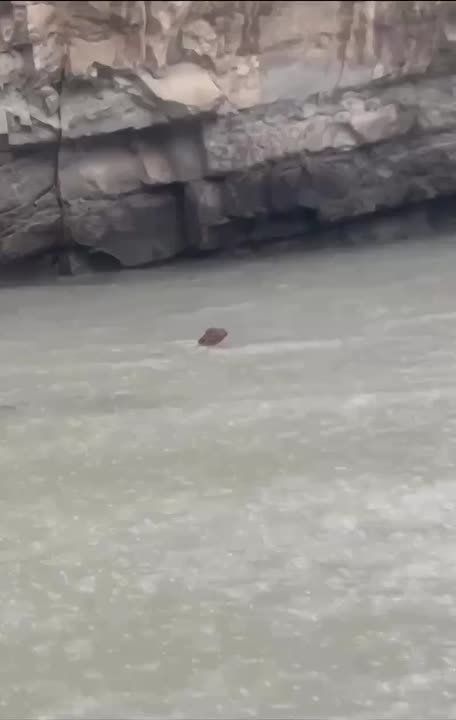 ������������ ������� �� ���������: ������� ���� �������� � ���� ������� � ������� ����� �������