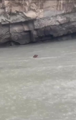 ������������ ������� �� ���������: ������� ���� �������� � ���� ������� � ������� ����� �������