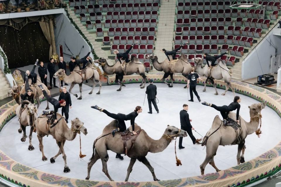 ����� 15 ����� ������� ������� ������� �� ������������� ����� ����������� ������ ��������