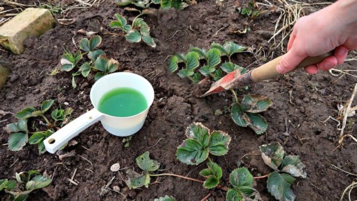 ����� � ��� ��������� ������������� �������� ������: ������� ��������� �����